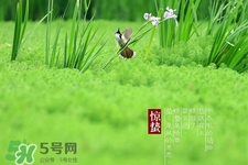驚蟄吃什么蔬菜好？驚蟄節(jié)氣養(yǎng)生吃什么蔬菜？