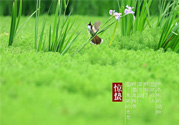 驚蟄吃什么蔬菜好？驚蟄節(jié)氣養(yǎng)生吃什么蔬菜？