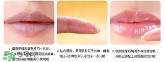 愛麗小屋唇部磨砂膏怎么樣？愛麗小屋唇部磨砂膏和悅詩(shī)風(fēng)吟哪個(gè)好？