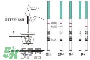 驗(yàn)孕試紙準(zhǔn)嗎？驗(yàn)孕試紙?jiān)趺纯辞髨D解