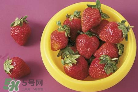 4月份可以摘草莓嗎？四月份有草莓可以摘嗎？