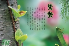 驚蟄節(jié)氣吃什么水果？驚蟄養(yǎng)生吃什么水果好？