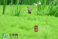 驚蟄如何養(yǎng)生？驚蟄前后如何養(yǎng)生？