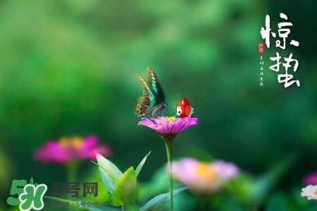 驚蟄如何養(yǎng)生？驚蟄前后如何養(yǎng)生？