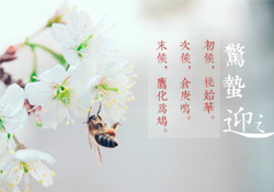 驚蟄怎么打小人？驚蟄如何打小人？