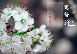 驚蟄為何要打小人？驚蟄為什么要打小人？