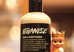 lush護(hù)發(fā)素哪個好？lush護(hù)發(fā)素推薦