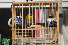 禽流感期間能接觸鳥(niǎo)糞嗎？碰到鳥(niǎo)糞會(huì)得禽流感嗎？