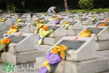 3月份可以掃墓嗎？三月份可以上墳嗎？