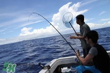 三月份可以釣魚了嗎？三月份好釣魚嗎？