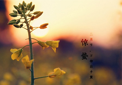 驚蟄能去廟里祈福嗎？驚蟄要去廟里祈福嗎？