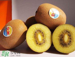 奇異果多少錢一斤？奇異果多少錢一個？