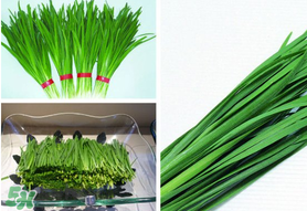 驚蟄前后可以種什么？驚蟄前后種什么蔬菜？