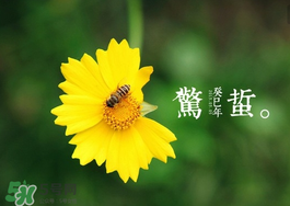 驚蟄前后可以種什么？驚蟄前后種什么蔬菜？