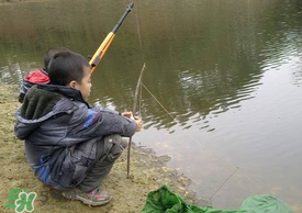 驚蟄能釣魚嗎？驚蟄釣什么魚好？