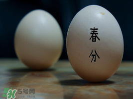 春分為什么能豎蛋？春分豎蛋原理