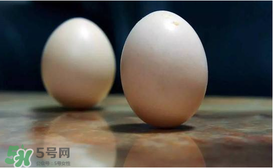 春分為什么能豎蛋？春分豎蛋原理