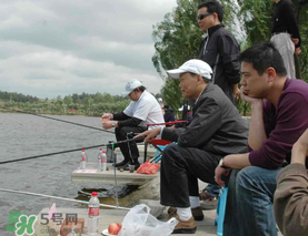 驚蟄過(guò)后好釣魚(yú)嗎？驚蟄后陰雨天好釣魚(yú)嗎？