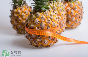 三月份什么水果上市？3月份什么水果上市？