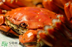 三月份吃什么螃蟹？3月份吃什么螃蟹？