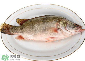 三月份吃什么魚？3月份吃什么魚好？