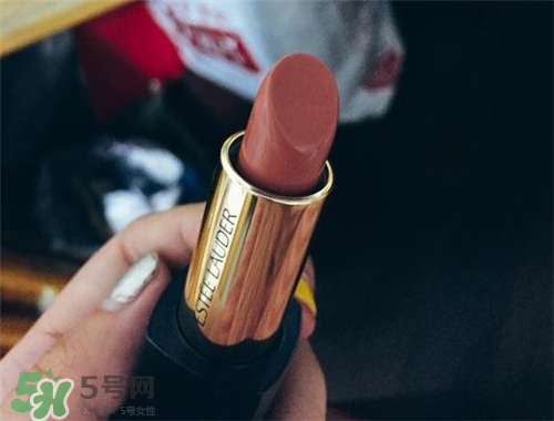 雅詩蘭黛envy110多少錢？雅詩蘭黛傾慕唇膏110價格