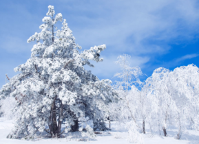 三月份還會下雪嗎？哈爾濱三月份還有雪嗎？
