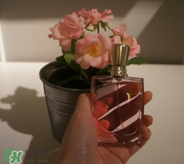 蘭蔻和迪奧香水哪個(gè)好？蘭蔻和迪奧香水推薦