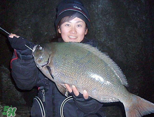 3月份釣魚用什么餌料？三月份釣魚用什么魚餌？