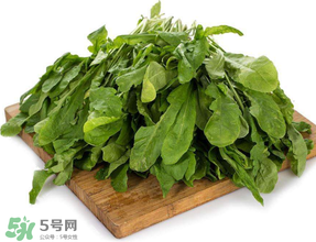 薺菜葉子黃了能吃嗎？薺菜發(fā)黃能吃嗎？