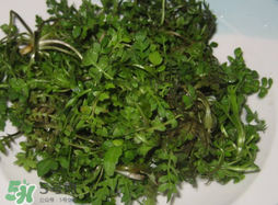 薺菜怎么洗？薺菜怎么洗才干凈？
