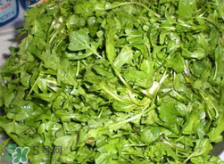 薺菜怎么洗？薺菜怎么洗才干凈？