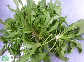 薺菜怎么保鮮？新鮮薺菜如何保鮮？