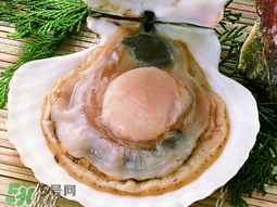薺菜和扇貝可以一起吃嗎？薺菜扇貝湯的做法