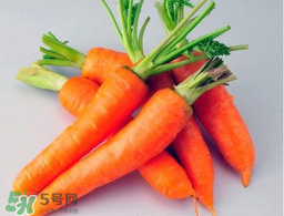薺菜能和胡蘿卜一起吃嗎？薺菜可以和胡蘿卜一起吃嗎？