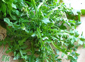 薺菜上有白點能吃嗎？薺菜背面有白點是什么？
