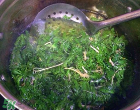 薺菜怎么焯水？薺菜焯水多久？