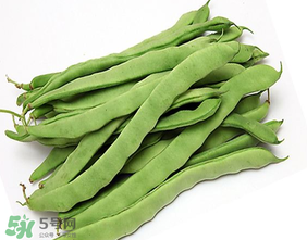 三月份可以種豆角嗎？豆角幾月份種？