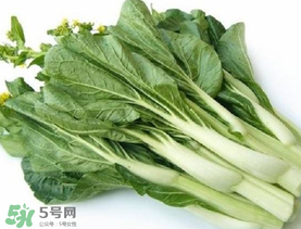青菜苔可以吃嗎？青菜苔怎么做好吃？