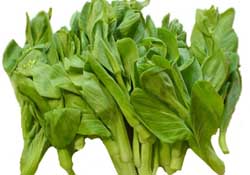 青菜苔可以吃嗎？青菜苔怎么做好吃？