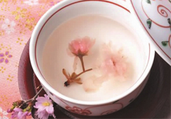 桃花酒孕婦可以喝嗎？懷孕了能喝桃花酒嗎？