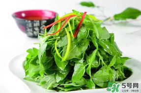 薺菜不能和什么一起吃？薺菜和什么相克？