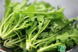 薺菜不能和什么一起吃？薺菜和什么相克？