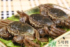 一年四季都能吃螃蟹嗎？一年四季都有吃螃蟹嗎？