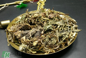 干的蒲公英多少錢一斤？蒲公英多少錢一斤干的？
