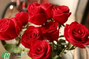 什么東西清火效果好？什么東西清火最快？