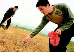 三月份可以種花生嗎？花生幾月份播種比較好？