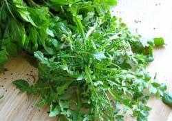 薺菜不能和什么一起吃？薺菜和什么相克？