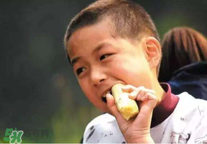 春天能吃甘蔗嗎？春天吃甘蔗有什么好處？