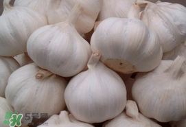 大蒜爛了一點還能吃嗎？大蒜爛根是怎么回事？